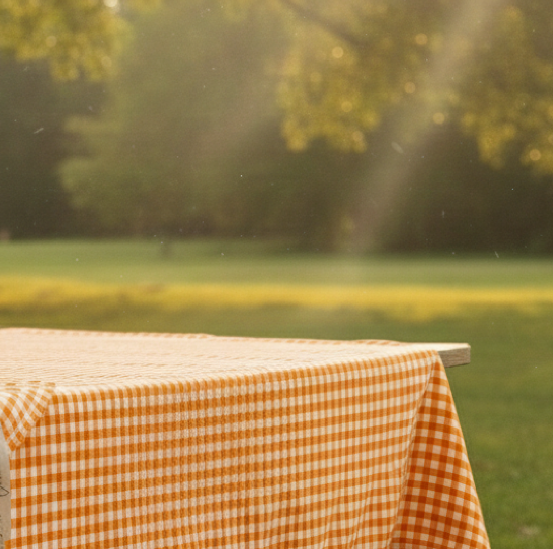 Gingham Christmas Table Cloths Rush